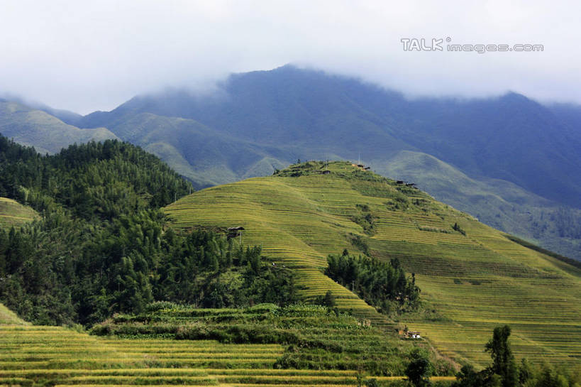 无人,农田,横图,俯视,室外,白天,旅游,度假,庄稼,梯田,农作物,石头,美景,山,山脉,树林,峡谷,植物,中国,亚洲,阴影,曲折,弯曲,光线,纹路,石子,纹理,影子,景观,山峰,云,云朵,山谷,山峦,云彩,娱乐,树,树木,蓝色,绿色,白云,蓝天,天空,阳光,自然,群山,天,享受,休闲,景色,放松,蜿蜒,生长,晴朗,成长,广西,连绵,绵延,岩层,自然风光,山岭,东亚,龙胜,广西壮族自治区,肌理,中华人民共和国,桂,华南地区,联贯,龙胜各族自治县,金坑梯田,石块,岩石,晴空,彩图,高角度拍摄,耕地,庄稼田,shwf1