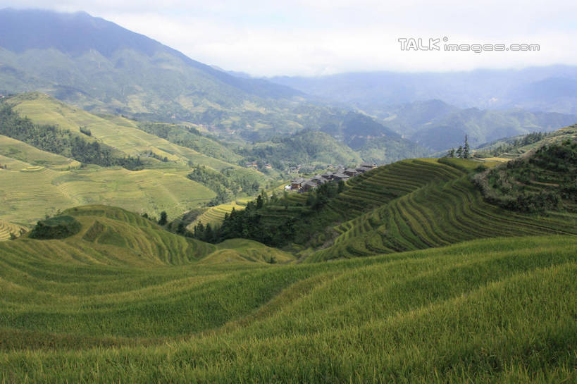 无人,农田,横图,俯视,室外,白天,旅游,度假,庄稼,梯田,农作物,石头,美景,山,山脉,树林,峡谷,植物,中国,亚洲,阴影,曲折,弯曲,光线,纹路,石子,纹理,影子,景观,山峰,云,云朵,山谷,山峦,云彩,娱乐,树,树木,蓝色,绿色,白云,蓝天,天空,阳光,自然,群山,天,享受,休闲,景色,放松,蜿蜒,生长,晴朗,成长,广西,连绵,绵延,岩层,自然风光,山岭,东亚,龙胜,广西壮族自治区,肌理,中华人民共和国,桂,华南地区,联贯,龙胜各族自治县,金坑梯田,石块,岩石,晴空,彩图,高角度拍摄,耕地,庄稼田,shwf1