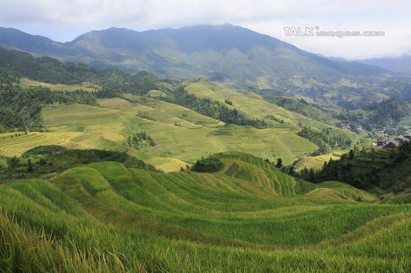 无人,农田,横图,俯视,室外,白天,旅游,度假,庄稼,梯田,农作物,石头,美景,山,山脉,树林,峡谷,植物,中国,亚洲,阴影,曲折,弯曲,光线,纹路,石子,纹理,影子,景观,山峰,云,云朵,山谷,山峦,云彩,娱乐,树,树木,蓝色,绿色,白云,蓝天,天空,阳光,自然,群山,天,享受,休闲,景色,放松,蜿蜒,生长,晴朗,成长,广西,连绵,绵延,岩层,自然风光,山岭,东亚,龙胜,广西壮族自治区,肌理,中华人民共和国,桂,华南地区,联贯,龙胜各族自治县,金坑梯田,石块,岩石,晴空,彩图,高角度拍摄,耕地,庄稼田,shwf1