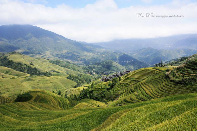 无人,农田,横图,俯视,室外,白天,旅游,度假,庄稼,梯田,农作物,石头,美景,山,山脉,树林,峡谷,植物,中国,亚洲,阴影,曲折,弯曲,光线,纹路,石子,纹理,影子,景观,山峰,云,云朵,山谷,山峦,云彩,娱乐,树,树木,蓝色,绿色,白云,蓝天,天空,阳光,自然,群山,天,享受,休闲,景色,放松,蜿蜒,生长,晴朗,成长,广西,连绵,绵延,岩层,自然风光,山岭,东亚,龙胜,广西壮族自治区,肌理,中华人民共和国,桂,华南地区,联贯,龙胜各族自治县,金坑梯田,石块,岩石,晴空,彩图,高角度拍摄,耕地,庄稼田,shwf1