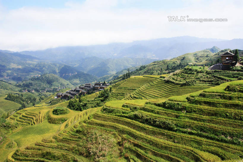 无人,农田,横图,俯视,室外,白天,旅游,度假,庄稼,梯田,农作物,石头,美景,山,山脉,树林,峡谷,植物,中国,亚洲,阴影,曲折,弯曲,光线,纹路,石子,纹理,影子,景观,山峰,云,云朵,山谷,山峦,云彩,娱乐,树,树木,蓝色,绿色,白云,蓝天,天空,阳光,自然,群山,天,享受,休闲,景色,放松,蜿蜒,生长,晴朗,成长,广西,连绵,绵延,岩层,自然风光,山岭,东亚,龙胜,广西壮族自治区,肌理,中华人民共和国,桂,华南地区,联贯,龙胜各族自治县,金坑梯田,石块,岩石,晴空,彩图,高角度拍摄,耕地,庄稼田,shwf1