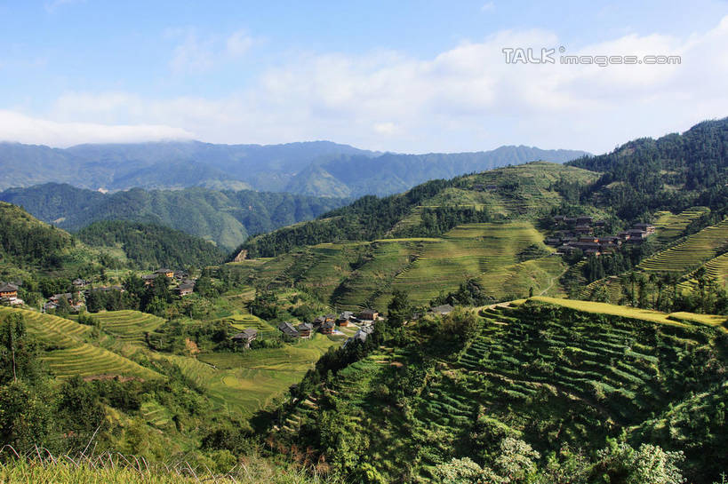 无人,家,农田,横图,俯视,室外,白天,旅游,度假,庄稼,梯田,农作物,石头,美景,山,山脉,树林,峡谷,植物,中国,亚洲,阴影,曲折,弯曲,光线,纹路,石子,纹理,影子,房屋,屋子,景观,山峰,云,云朵,山谷,山峦,云彩,娱乐,楼房,住宅,树,树木,蓝色,绿色,白云,蓝天,天空,阳光,自然,群山,天,享受,休闲,瓦房,景色,放松,蜿蜒,生长,晴朗,成长,广西,连绵,绵延,岩层,自然风光,山岭,东亚,龙胜,广西壮族自治区,肌理,中华人民共和国,桂,华南地区,联贯,龙胜各族自治县,金坑梯田,石块,岩石,晴空,彩图,高角度拍摄,耕地,庄稼田,房子,shwf1