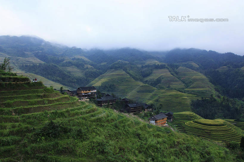 无人,家,农田,横图,俯视,室外,白天,旅游,度假,庄稼,梯田,农作物,石头,美景,山,山脉,峡谷,雾,中国,亚洲,阴影,朦胧,模糊,曲折,弯曲,光线,纹路,石子,纹理,影子,房屋,屋子,景观,山峰,山谷,山峦,娱乐,楼房,住宅,蓝色,蓝天,天空,阳光,自然,群山,天,享受,休闲,瓦房,景色,放松,蜿蜒,晴朗,广西,连绵,迷雾,绵延,岩层,自然风光,山岭,东亚,龙胜,万里无云,广西壮族自治区,肌理,中华人民共和国,桂,华南地区,联贯,龙胜各族自治县,金坑梯田,石块,岩石,大雾,晴空,晴空万里,彩图,高角度拍摄,耕地,庄稼田,房子,shwf1