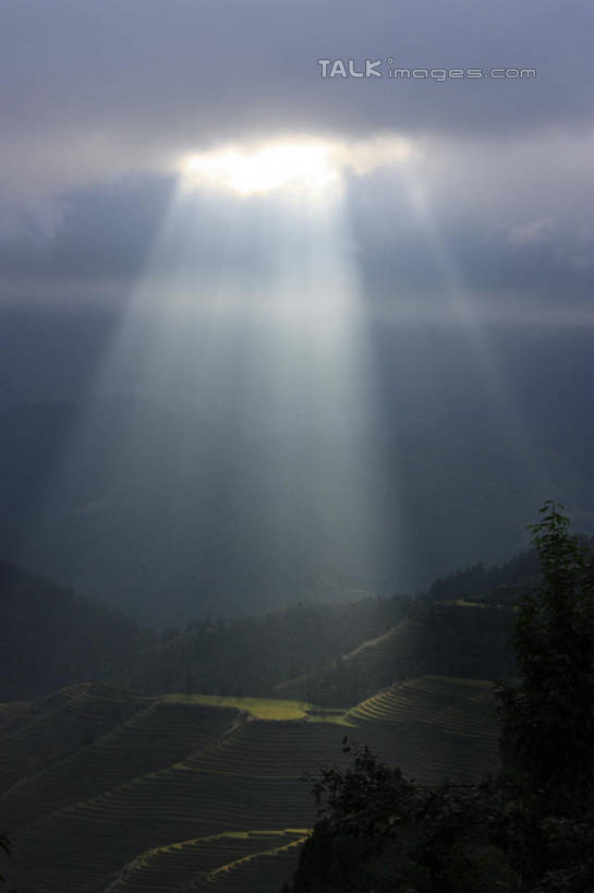 无人,农田,竖图,俯视,航拍,室外,白天,旅游,度假,庄稼,梯田,农作物,日出,石头,美景,山,山脉,太阳,峡谷,雾,中国,亚洲,朦胧,梦幻,模糊,曲折,弯曲,发光,光束,纹路,石子,纹理,景观,山峰,朝霞,晨曦,光亮,黎明,山谷,山峦,娱乐,阳光,自然,群山,享受,休闲,景色,放松,蜿蜒,广西,连绵,迷雾,绵延,未来,岩层,鸟瞰,发亮,自然风光,山岭,东亚,憧憬,龙胜,广西壮族自治区,肌理,中华人民共和国,桂,华南地区,联贯,龙胜各族自治县,金坑梯田,石块,岩石,朝阳,大雾,彩图,高角度拍摄,耕地,庄稼田,卯时,破晓,日始,shwf1