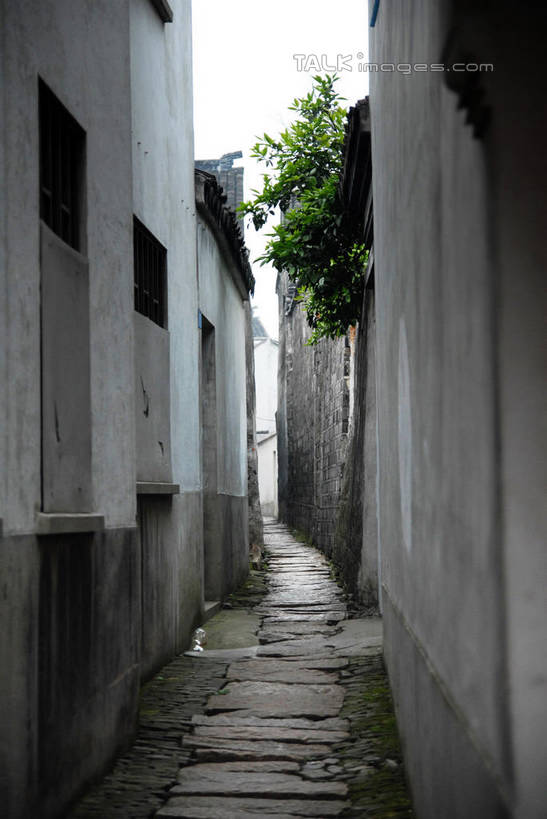 无人,家,竖图,室外,白天,正面,旅游,度假,名胜古迹,植物,标志建筑,道路,地标,建筑,路,中国,亚洲,遗迹,房屋,屋子,建筑群,小路,小巷,交通,古迹,文物,娱乐,建设,古建筑,江苏,苏州,同里,楼房,弄堂,住宅,树,树木,巷子,绿色,自然,享受,休闲,旅游胜地,瓦房,放松,生长,成长,古文明,东亚,江苏省,苏州市,同里镇,中华人民共和国,华东地区,苏,吴江,彩图,房子,吴江区,同里古镇,shwf1