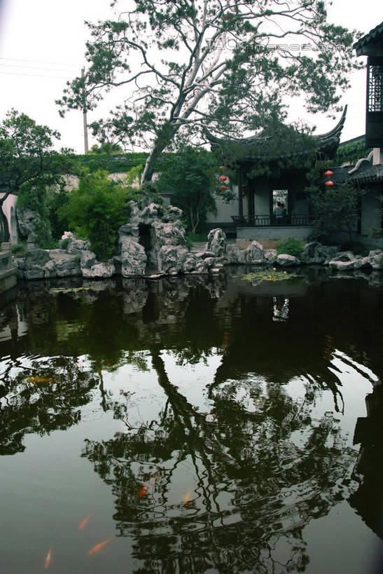 无人,家,竖图,室外,白天,正面,旅游,度假,河流,名胜古迹,水,植物,标志建筑,地标,建筑,中国,亚洲,遗迹,瓦片,房屋,屋子,河水,水流,建筑群,枝条,瓦,古迹,文物,娱乐,建设,古建筑,江苏,苏州,同里,楼房,住宅,树,树木,树枝,绿色,天空,自然,天,享受,休闲,旅游胜地,瓦房,放松,生长,成长,古文明,东亚,屋瓦,江苏省,苏州市,同里镇,中华人民共和国,华东地区,苏,吴江,虬枝,枝杈,彩图,房子,吴江区,同里古镇,shwf1