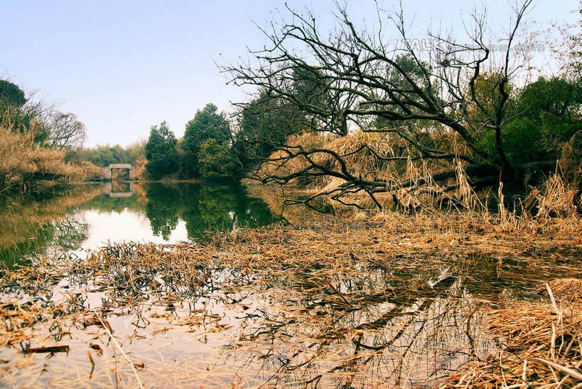 无人,公园,横图,室外,白天,正面,旅游,度假,湖,湖泊,美景,水,植物,中国,亚洲,湖面,景观,水流,水面,乌云,云,阴天,云朵,枝条,云彩,娱乐,浙江,树,树木,树枝,浙江省,绿色,天空,自然,湖水,天,享受,休闲,景色,放松,生长,成长,杭州,西溪,昏暗,阴沉,自然风光,东亚,杭州市,中华人民共和国,华东地区,省会,浙,虬枝,枝杈,西湖区,彩图,西溪国家湿地公园,杭州之肺,杭州西溪国家湿地公园,shwf1