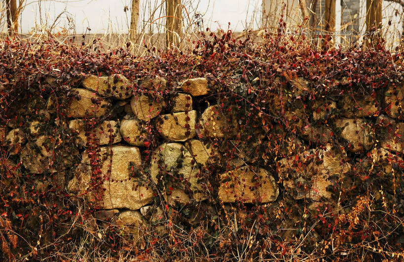 无人,公园,横图,室外,特写,白天,正面,旅游,度假,石头,美景,中国,亚洲,石子,墙,景观,青苔,苔藓,娱乐,浙江,墙壁,墙面,浙江省,红色,自然,享受,休闲,景色,放松,杭州,西溪,自然风光,东亚,杭州市,中华人民共和国,华东地区,省会,浙,西湖区,石块,岩石,彩图,西溪国家湿地公园,杭州之肺,杭州西溪国家湿地公园,shwf1