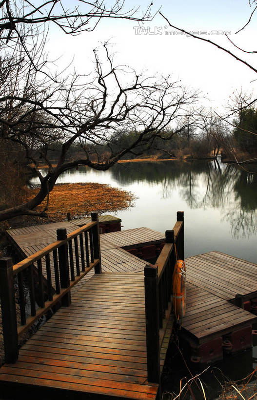 无人,公园,家,栏杆,码头,竖图,室外,白天,正面,旅游,度假,河流,美景,水,植物,港口,芦苇,叶子,中国,亚洲,阴影,光线,扶手,影子,房屋,屋子,河水,景观,水流,粽叶,绿叶,枝条,娱乐,浙江,护栏,楼房,住宅,树,树木,树枝,浙江省,蓝色,绿色,蓝天,天空,阳光,自然,天,享受,休闲,嫩叶,瓦房,景色,放松,生长,晴朗,成长,杭州,西溪,自然风光,东亚,杭州市,万里无云,中华人民共和国,华东地区,省会,浙,箬叶,芦苇叶,虬枝,枝杈,西湖区,叶,叶片,晴空,晴空万里,彩图,房子,摆渡口,埠头,渡口,渡头,港湾,海港,货运码头,口岸,商港,西溪国家湿地公园,杭州之肺,杭州西溪国家湿地公园,shwf1