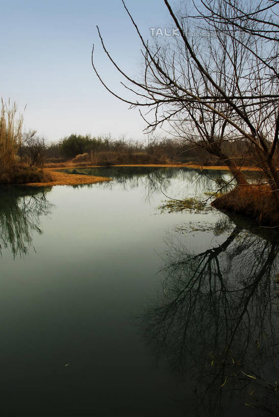 无人,公园,竖图,室外,白天,正面,旅游,度假,河流,美景,水,植物,芦苇,叶子,中国,亚洲,阴影,光线,影子,河水,景观,水流,粽叶,绿叶,枝条,娱乐,浙江,树,树木,树枝,浙江省,蓝色,绿色,蓝天,天空,阳光,自然,天,享受,休闲,嫩叶,景色,放松,生长,晴朗,成长,杭州,西溪,自然风光,东亚,杭州市,万里无云,中华人民共和国,华东地区,省会,浙,箬叶,芦苇叶,虬枝,枝杈,西湖区,叶,叶片,晴空,晴空万里,彩图,西溪国家湿地公园,杭州之肺,杭州西溪国家湿地公园,shwf1