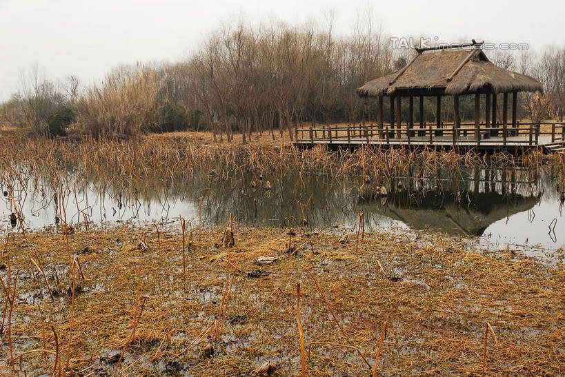 无人,公园,横图,室外,白天,正面,旅游,度假,河流,美景,水,芦苇,叶子,中国,亚洲,阴影,光线,影子,亭子,河水,景观,水流,粽叶,绿叶,娱乐,浙江,浙江省,蓝色,蓝天,天空,阳光,自然,凉亭,天,享受,休闲,嫩叶,景色,放松,晴朗,杭州,西溪,自然风光,东亚,杭州市,万里无云,中华人民共和国,华东地区,省会,浙,箬叶,芦苇叶,西湖区,叶,叶片,晴空,晴空万里,彩图,西溪国家湿地公园,杭州之肺,杭州西溪国家湿地公园,shwf1