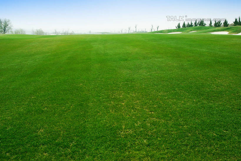 无人,横图,室外,白天,正面,度假,草地,草坪,美景,沙漠,植物,城市风光,城市,中国,亚洲,阴影,光线,影子,景观,球场,枝条,娱乐,蓬莱,山东,烟台,君顶酒庄,高尔夫球场,草,树,树木,树枝,蓝色,绿色,蓝天,天空,阳光,自然,天,享受,休闲,景色,放松,生长,晴朗,成长,绿茵场,东亚,山东省,万里无云,中华人民共和国,华东地区,鲁,烟台市,虬枝,枝杈,大漠,砂漠,晴空,晴空万里,彩图,中粮南王山谷君顶酒庄,中粮君顶酒庄,蓬莱市,shwf1