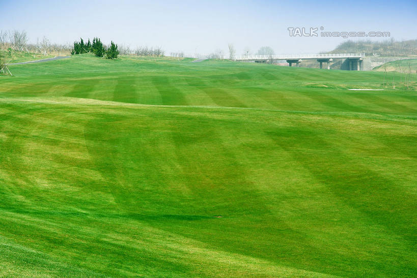 无人,横图,室外,白天,正面,度假,草地,草坪,美景,沙漠,植物,城市风光,城市,中国,亚洲,阴影,光线,影子,景观,球场,枝条,娱乐,蓬莱,山东,烟台,君顶酒庄,高尔夫球场,草,树,树木,树枝,蓝色,绿色,蓝天,天空,阳光,自然,天,享受,休闲,景色,放松,生长,晴朗,成长,绿茵场,东亚,山东省,万里无云,中华人民共和国,华东地区,鲁,烟台市,虬枝,枝杈,大漠,砂漠,晴空,晴空万里,彩图,中粮南王山谷君顶酒庄,中粮君顶酒庄,蓬莱市,shwf1