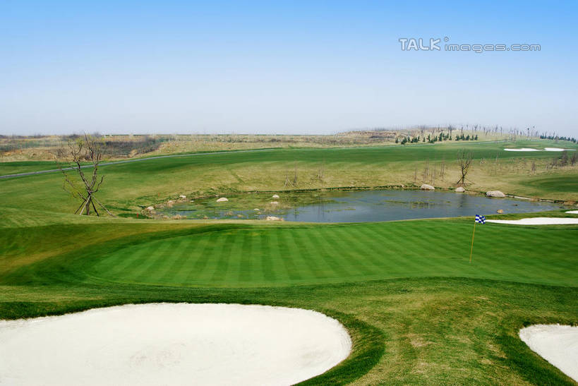 无人,横图,室外,白天,正面,度假,草地,草坪,湖,湖泊,美景,沙漠,水,植物,城市风光,城市,中国,亚洲,阴影,光线,影子,湖面,景观,水流,水面,球场,枝条,娱乐,蓬莱,山东,烟台,君顶酒庄,高尔夫球场,草,树,树木,树枝,蓝色,绿色,蓝天,天空,阳光,自然,湖水,天,享受,休闲,景色,放松,生长,晴朗,成长,绿茵场,东亚,山东省,万里无云,中华人民共和国,华东地区,鲁,烟台市,虬枝,枝杈,大漠,砂漠,晴空,晴空万里,彩图,中粮南王山谷君顶酒庄,中粮君顶酒庄,蓬莱市,shwf1