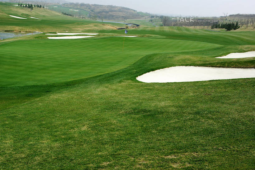 无人,横图,室外,白天,正面,度假,草地,草坪,湖,湖泊,美景,沙漠,水,植物,城市风光,城市,中国,亚洲,阴影,光线,影子,湖面,景观,水流,水面,球场,枝条,娱乐,蓬莱,山东,烟台,君顶酒庄,高尔夫球场,草,树,树木,树枝,蓝色,绿色,蓝天,天空,阳光,自然,湖水,天,享受,休闲,景色,放松,生长,晴朗,成长,绿茵场,东亚,山东省,万里无云,中华人民共和国,华东地区,鲁,烟台市,虬枝,枝杈,大漠,砂漠,晴空,晴空万里,彩图,中粮南王山谷君顶酒庄,中粮君顶酒庄,蓬莱市,shwf1