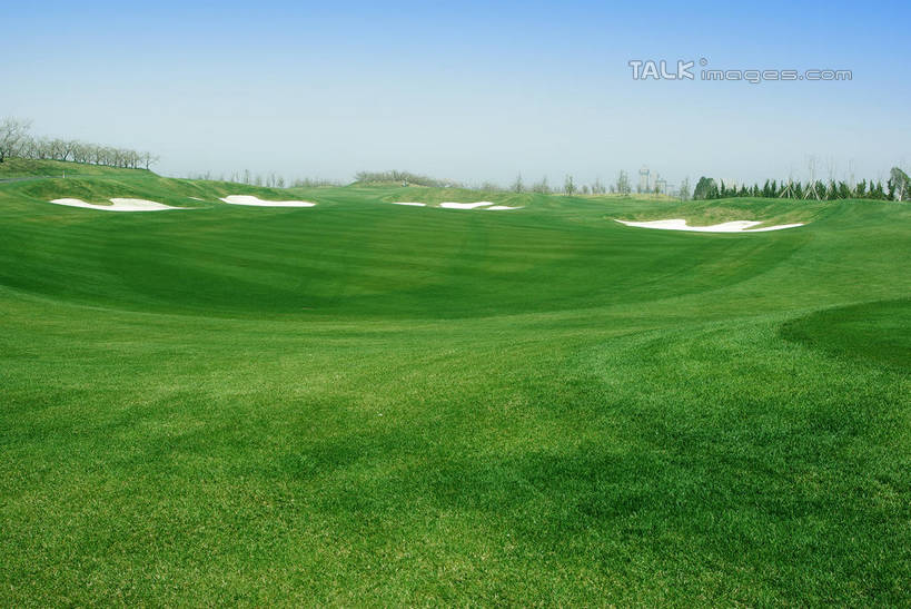 无人,横图,室外,白天,正面,度假,草地,草坪,美景,沙漠,植物,城市风光,城市,中国,亚洲,阴影,光线,影子,景观,球场,枝条,娱乐,蓬莱,山东,烟台,君顶酒庄,高尔夫球场,草,树,树木,树枝,蓝色,绿色,蓝天,天空,阳光,自然,天,享受,休闲,景色,放松,生长,晴朗,成长,绿茵场,东亚,山东省,万里无云,中华人民共和国,华东地区,鲁,烟台市,虬枝,枝杈,大漠,砂漠,晴空,晴空万里,彩图,中粮南王山谷君顶酒庄,中粮君顶酒庄,蓬莱市,shwf1