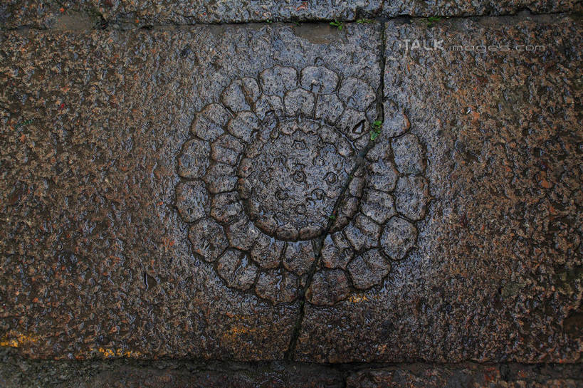 无人,横图,俯视,室外,特写,白天,纯洁,莲花,雕塑,中国,亚洲,艺术,装饰,盛开,雕刻,雕像,地面,花蕾,浙江,石雕,花,花瓣,花朵,鲜花,浙江省,工艺品,花苞,花蕊,纪念,美术,富贵,神圣,主题,陈列,东亚,纯净,普陀区,普陀山,中华人民共和国,华东地区,浙,功能,美学,六月花神,正直,舟山,舟山市,鞭蕖,鞭蓉,芙蕖,菡萏,荷花,六月春,藕花,水旦,水芙蓉,水华,水芸,溪客,彩图,高角度拍摄,海天佛国,shwf1