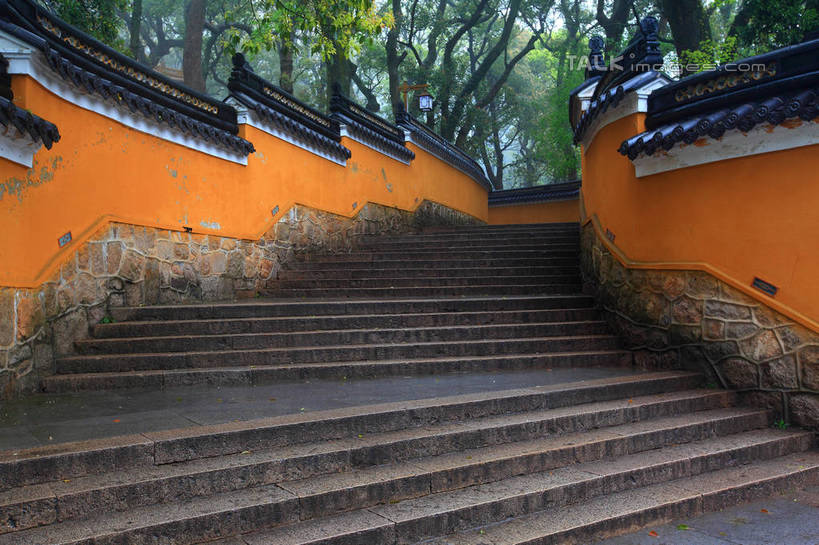 无人,寺庙,横图,室外,白天,仰视,旅游,度假,名胜古迹,树林,植物,楼梯,标志建筑,地标,建筑,中国,亚洲,节日,遗迹,阶梯,墙,枝条,古迹,文化,文物,娱乐,建设,古建筑,浙江,墙壁,墙面,台阶,树,树木,树枝,浙江省,绿色,自然,庙宇,祈祷,享受,休闲,健康,橙色,旅游胜地,放松,许愿,宗教,佛教,信仰,生长,成长,纪念,祈求,古文明,东亚,普陀区,普陀山,法雨寺,中华人民共和国,华东地区,浙,舟山,舟山市,释教,虬枝,枝杈,平安,彩图,低角度拍摄,庙,寺,海天佛国,shwf1