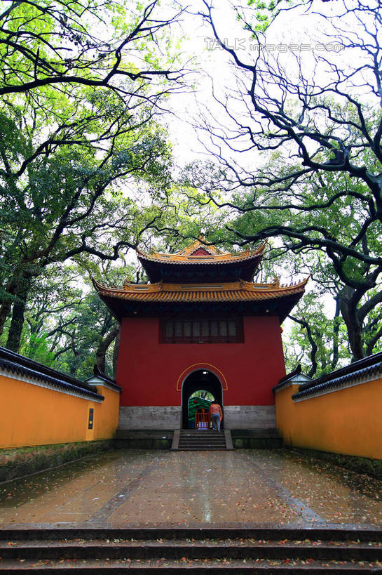 无人,寺庙,竖图,室外,白天,正面,旅游,度假,名胜古迹,楼梯,标志建筑,地标,建筑,中国,亚洲,节日,遗迹,阶梯,屋顶,走道,走廊,过道,枝条,顶棚,古迹,文化,文物,娱乐,建设,古建筑,浙江,台阶,树枝,浙江省,天空,庙宇,天,祈祷,享受,休闲,健康,旅游胜地,放松,许愿,宗教,佛教,信仰,纪念,祈求,古文明,东亚,普陀区,普陀山,法雨寺,中华人民共和国,华东地区,浙,舟山,舟山市,释教,虬枝,枝杈,平安,彩图,庙,寺,海天佛国,shwf1