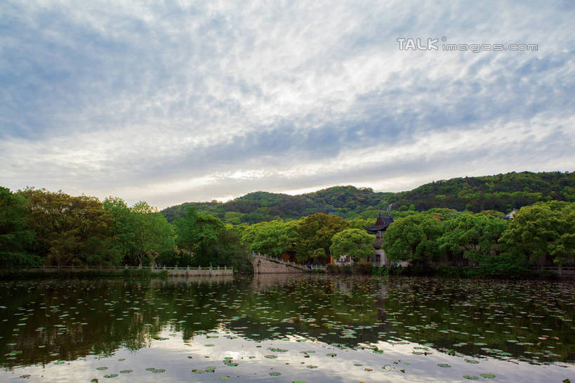 无人,横图,室外,白天,正面,旅游,度假,名胜古迹,森林,树林,植物,标志建筑,地标,建筑,叶子,中国,亚洲,阴影,波纹,遗迹,光线,影子,池塘,水池,云,云朵,荷叶,涟漪,云彩,古迹,文物,娱乐,建设,古建筑,浙江,树,树木,浙江省,蓝色,绿色,白云,倒影,蓝天,水纹,天空,阳光,自然,波浪,天,享受,休闲,旅游胜地,放松,生长,晴朗,成长,倒映,古文明,东亚,普陀区,普陀山,普济寺,中华人民共和国,华东地区,水晕,浙,莲叶,舟山,舟山市,反照,叶,叶片,晴空,彩图,普济禅院,海天佛国,海印池,普陀山普济寺,shwf1