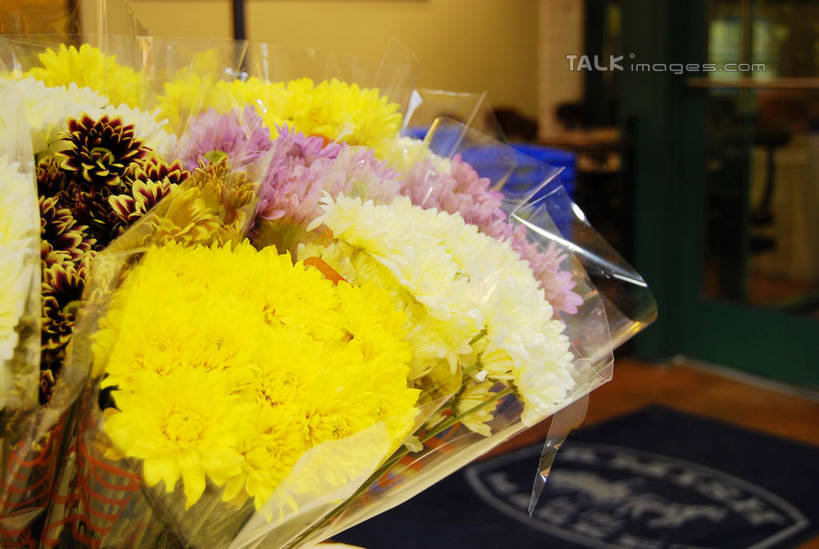 无人,花店,商店,横图,室内,白天,正面,爱情,朦胧,模糊,盛开,花蕾,商铺,花,花瓣,花朵,鲜花,黄色,花苞,花蕊,菊花,吉祥,高洁,长寿,怀恋,清净,真情,寿客,秋菊,市肆,商号,彩图,店铺,shxw1