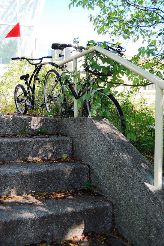 无人,栏杆,竖图,室外,白天,正面,旅游,度假,美景,植物,楼梯,自行车,旗帜,两辆,阴影,光线,扶手,影子,阶梯,景观,山地车,娱乐,旗子,护栏,台阶,车,脚踏车,树,树木,蓝色,绿色,蓝天,天空,阳光,自然,交通工具,天,靠,靠着,倚靠,享受,休闲,景色,放松,生长,晴朗,成长,倚着,自然风光,载具,山地自行车,万里无云,旌旗,旗号,晴空,晴空万里,彩图,shxw1