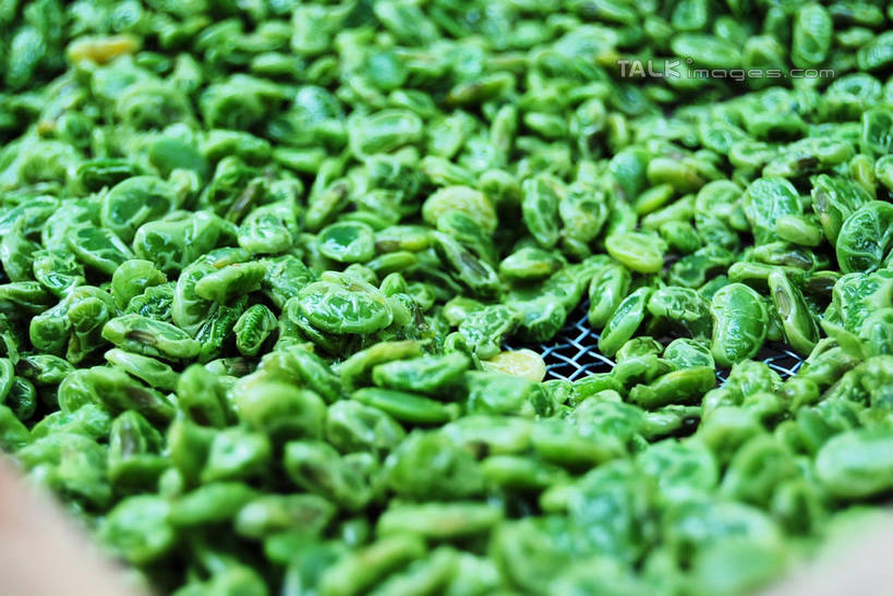 无人,横图,俯视,室外,特写,白天,植物,豆,蔬菜,许多,朦胧,模糊,新鲜,豆类,豆子,食品,很多,食物,绿色,晒,有机食品,绿色食品,豆科,青大豆,青豆,彩图,高角度拍摄,shxw1