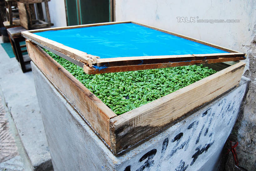 无人,家,横图,俯视,室外,白天,植物,豆,蔬菜,许多,新鲜,房屋,墙,屋子,豆类,豆子,食品,很多,楼房,墙壁,墙面,住宅,食物,绿色,晒,有机食品,绿色食品,豆科,青大豆,青豆,彩图,高角度拍摄,房子,shxw1