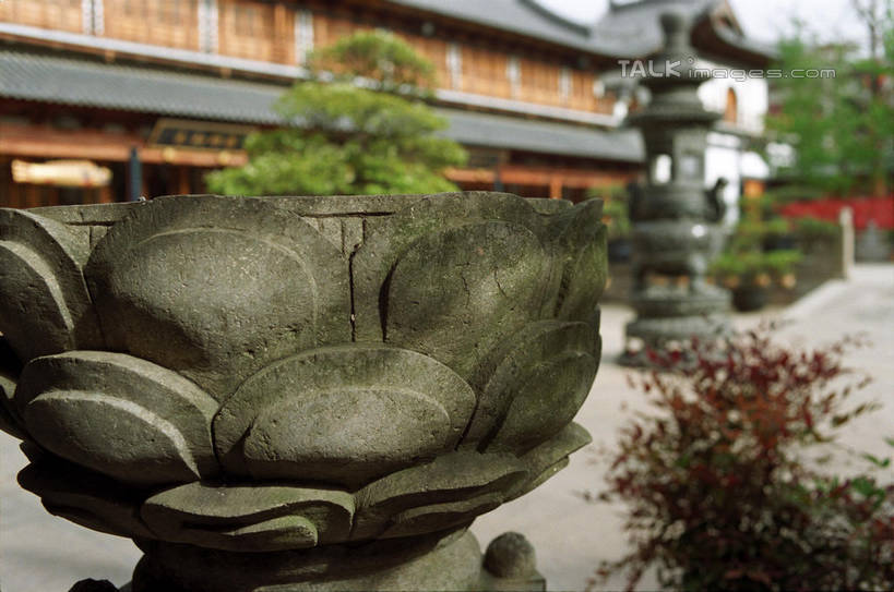 无人,寺庙,横图,室外,白天,正面,旅游,度假,纯洁,名胜古迹,植物,标志建筑,地标,建筑,莲花,雕塑,上海,中国,亚洲,阴影,节日,朦胧,模糊,遗迹,艺术,装饰,光线,雕刻,雕像,瓦片,影子,屋顶,燃烧,顶棚,瓦,古迹,文化,文物,娱乐,建设,古建筑,石雕,树,树木,真如寺,绿色,阳光,自然,香火,工艺品,庙宇,祈祷,享受,休闲,健康,旅游胜地,放松,许愿,宗教,建造,信仰,生长,成长,纪念,祈求,美术,申,富贵,神圣,主题,陈列,古文明,东亚,纯净,屋瓦,普陀区,上海市,中华人民共和国,沪,华东地区,功能,美学,六月花神,正直,平安,鞭蕖,鞭蓉,芙蕖,菡萏,荷花,六月春,藕花,水旦,水芙蓉,水华,水芸,溪客,彩图,庙,寺,真如镇,shylt1