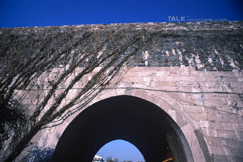 无人,横图,室外,白天,仰视,旅游,度假,石头,名胜古迹,植物,标志建筑,地标,建筑,遗迹,石子,墙,拱门,常春藤,爬山虎,草药,古迹,文物,娱乐,城门,建设,城墙,古建筑,中药,墙壁,灰色,藤蔓,享受,休闲,旅游胜地,放松,药材,中草药,爬墙虎,古文明,藤蔓植物,中药材,本草,地锦,趴山虎,巴山虎,石块,岩石,彩图,低角度拍摄,常青藤,shylt1