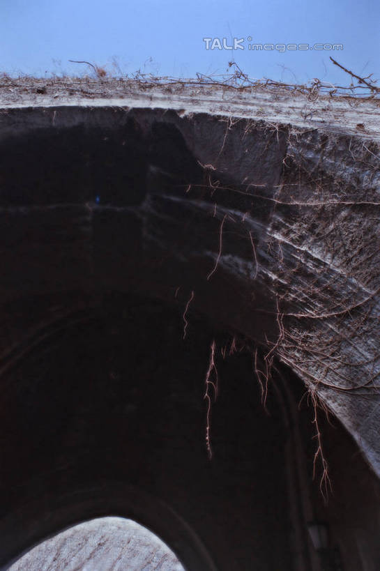 无人,竖图,室外,白天,仰视,旅游,度假,石头,名胜古迹,植物,标志建筑,地标,建筑,阴影,枯萎,遗迹,光线,隧道,石子,影子,墙,常春藤,爬山虎,草药,古迹,文物,娱乐,城门,建设,城墙,古建筑,中药,墙壁,蓝色,灰色,蓝天,天空,阳光,天,藤蔓,享受,休闲,旅游胜地,放松,晴朗,药材,中草药,爬墙虎,古文明,藤蔓植物,中药材,本草,万里无云,地锦,趴山虎,巴山虎,石块,岩石,晴空,晴空万里,彩图,低角度拍摄,常青藤,shylt1