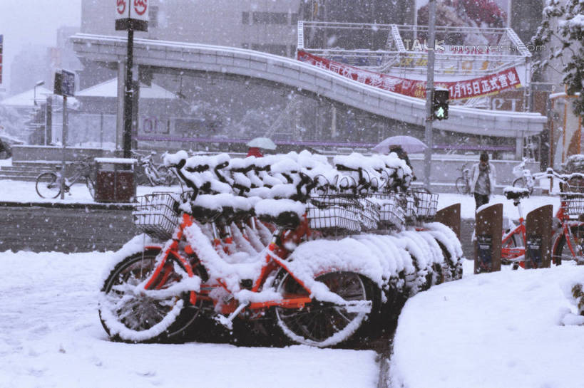 东方人,三个人,走,横图,室外,白天,正面,度假,安全,美景,雪,植物,大雪,城市风光,城市,建筑,自行车,亚洲,一排,许多,行人,出口,覆盖,入口,停靠,整齐,路标,积雪,景观,雪景,冬季,冬天,地铁站,红绿灯,信号灯,交通,黄种人,娱乐,路人,车,脚踏车,树,树木,排列,红色,交通工具,享受,休闲,景色,放松,寒冷,季节,警示,停放,队列,提示,市民,载具,流通,交通信号灯,行人信号灯,严寒,男人,男性,年轻男性,年轻女性,女人,女性,亚洲人,步行,散步,走路,半身,彩图,地铁出口,地铁入口,shylt1