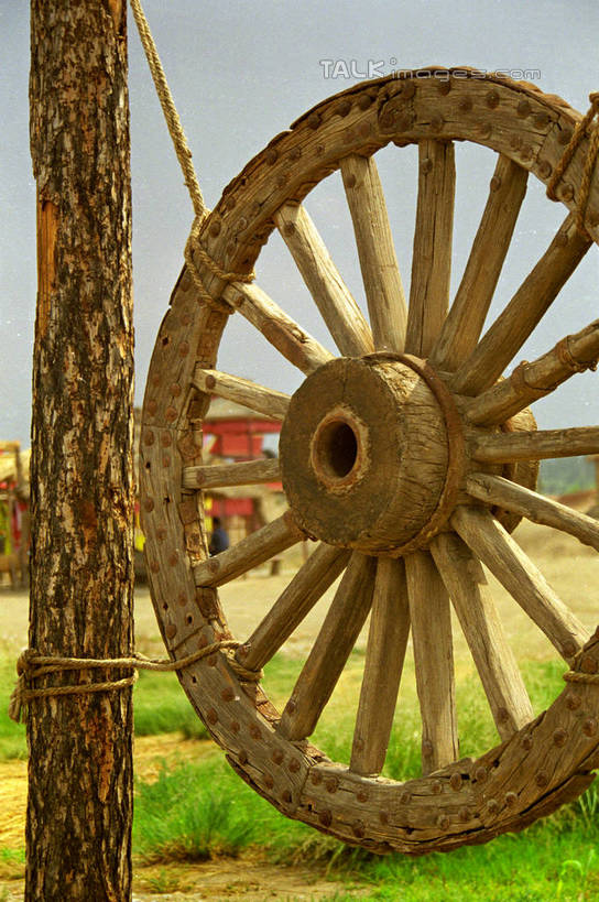 无人,竖图,室外,白天,正面,旅游,度假,草地,草坪,名胜古迹,植物,标志建筑,地标,建筑,中国,亚洲,阴影,遗迹,光线,影子,古迹,文物,娱乐,建设,古建筑,草,树,树木,蓝色,绿色,蓝天,天空,阳光,自然,车轮,天,享受,休闲,旅游胜地,放松,生长,晴朗,成长,古文明,东亚,宁夏,银川,镇北堡影视城,万里无云,首府,中华人民共和国,西北地区,银川市,宁夏回族自治区,宁,晴空,晴空万里,彩图,镇北堡,shzwj1