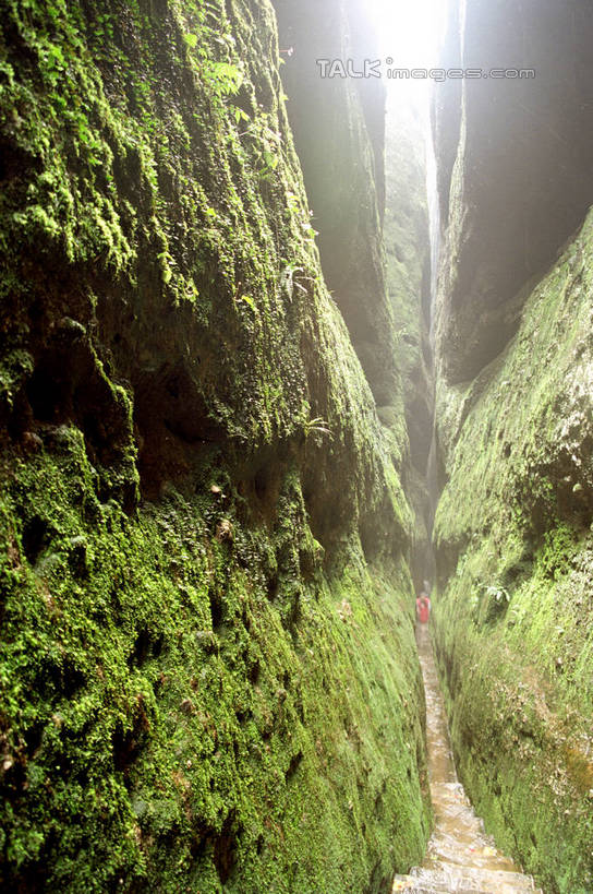无人,竖图,室外,白天,正面,旅游,度假,石头,美景,山,山脉,植物,中国,亚洲,石子,景观,山顶,山峰,山峦,娱乐,树,树木,绿色,自然,群山,享受,休闲,景色,放松,生长,成长,自然风光,东亚,湖南,莨山,天下第一巷,湖南省,中华人民共和国,华中地区,湘,邵阳,邵阳市,颠峰,极峰,石块,彩图,新宁县,shzwj1