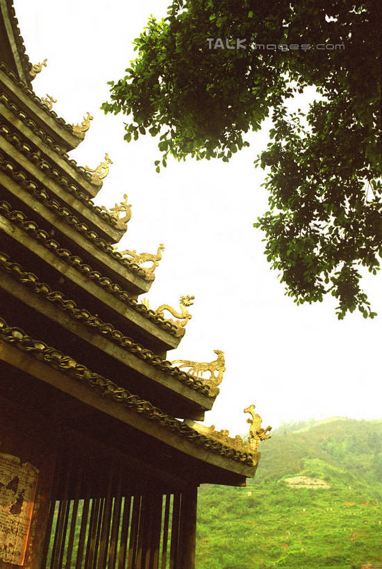 无人,竖图,室外,白天,仰视,旅游,度假,美景,名胜古迹,植物,标志建筑,地标,建筑,中国,亚洲,阴影,遗迹,光线,瓦片,影子,屋顶,景观,顶棚,瓦,古迹,文物,娱乐,建设,古建筑,树,树木,绿色,阳光,自然,享受,休闲,旅游胜地,景色,放松,建造,生长,成长,广西,柳州,自然风光,古文明,东亚,屋瓦,三江,广西壮族自治区,中华人民共和国,桂,华南地区,柳州市,彩图,低角度拍摄,三江侗族自治县,三江鼓楼,shzwj1