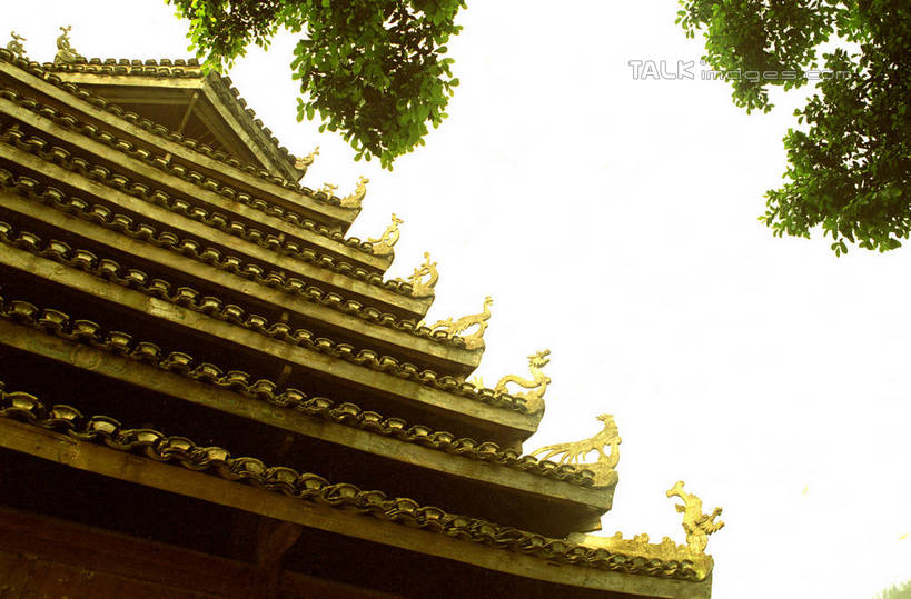 无人,横图,室外,白天,仰视,旅游,度假,美景,名胜古迹,植物,标志建筑,地标,建筑,中国,亚洲,阴影,遗迹,光线,瓦片,影子,屋顶,景观,顶棚,瓦,古迹,文物,娱乐,建设,古建筑,树,树木,绿色,阳光,自然,享受,休闲,旅游胜地,景色,放松,建造,生长,成长,广西,柳州,自然风光,古文明,东亚,屋瓦,三江,广西壮族自治区,中华人民共和国,桂,华南地区,柳州市,彩图,低角度拍摄,三江侗族自治县,三江鼓楼,shzwj1