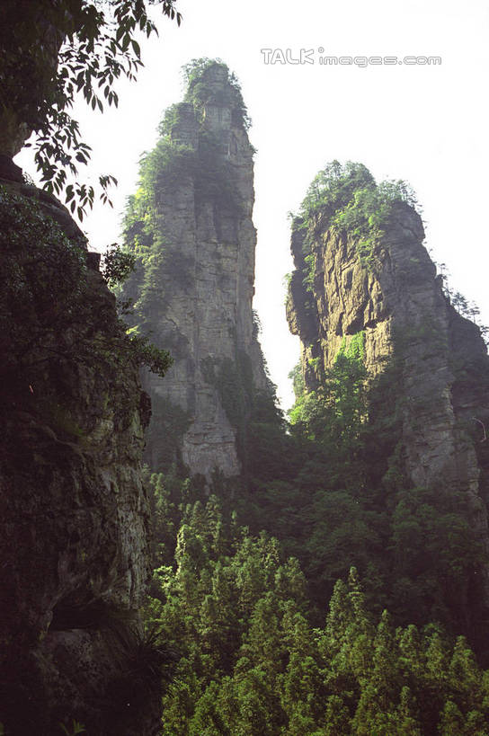 无人,公园,竖图,室外,白天,仰视,旅游,度假,石头,美景,森林,山,山脉,树林,植物,张家界,中国,亚洲,阴影,光线,石子,影子,景观,山顶,山峰,山峦,娱乐,树,树木,蓝色,绿色,蓝天,天空,阳光,自然,群山,天,享受,休闲,景色,放松,生长,晴朗,成长,自然风光,东亚,湖南,湖南省,森林公园,万里无云,张家界国家森林公园,中华人民共和国,华中地区,湘,张家界市,颠峰,极峰,石块,晴空,晴空万里,彩图,低角度拍摄,shzwj1