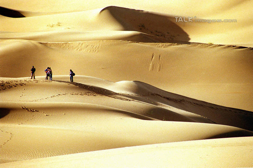 东方人,走,横图,俯视,室外,白天,旅游,度假,美景,沙漠,中国,亚洲,行人,游客,游人,阴影,服装,光线,纹路,纹理,影子,景观,许多人,注视,休闲装,黄种人,娱乐,路人,旅客,衣服,阳光,自然,观察,看,一群人,享受,休闲,休闲服,景色,放松,蒙,服饰,观看,察看,关注,自然风光,东亚,内蒙古,响沙湾,肌理,中华人民共和国,华北地区,内蒙古自治区,鄂尔多斯,鄂尔多斯市,过客,男人,男性,年轻男性,年轻女性,女人,女性,亚洲人,大漠,砂漠,步行,散步,走路,彩图,高角度拍摄,全身,shzwj1