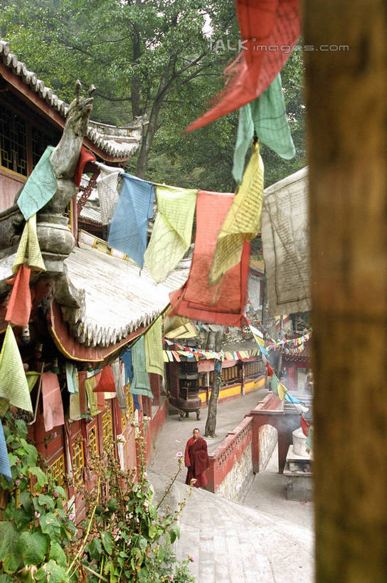 无人,寺庙,竖图,彩色,室外,白天,正面,旅游,度假,名胜古迹,植物,标志建筑,地标,建筑,旗帜,中国,亚洲,阴影,节日,遗迹,光线,影子,燃烧,古迹,文化,文物,娱乐,旗子,建设,古建筑,经幡,树,树木,绿色,阳光,自然,香火,庙宇,祈祷,享受,休闲,健康,旅游胜地,放松,许愿,宗教,信仰,四川省,生长,成长,纪念,祈求,古文明,东亚,四川,康定,跑马山,观音阁,甘孜藏族自治州,康定县,风马旗,中华人民共和国,西南地区,川,甘孜,甘孜州,旌旗,旗号,平安,彩图,庙,寺,炉城镇,shzwj1