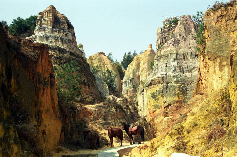 无人,站,横图,室外,白天,正面,旅游,度假,石头,美景,山,山脉,植物,道路,路,马,野生动物,昆明,中国,阴影,光线,石子,影子,景观,山顶,山峰,小路,交通,山峦,注视,娱乐,云南,树,树木,蓝色,绿色,蓝天,天空,阳光,自然,动物,群山,天,观察,看,站着,享受,休闲,景色,放松,运输,牲畜,乡间小路,生长,晴朗,成长,观看,察看,两匹,关注,自然风光,昆明市,云南省,万里无云,中华人民共和国,省会,西南地区,滇,颠峰,极峰,石块,晴空,晴空万里,站立,彩图,全身,宜良县,shzwj1