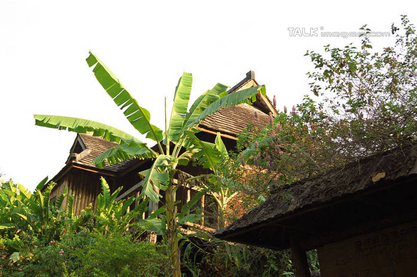 无人,家,木屋,横图,室外,白天,仰视,旅游,度假,美景,植物,椰树,叶子,西双版纳,中国,亚洲,阴影,光线,影子,景观,绿叶,娱乐,云南,住宅,树,树木,绿色,阳光,自然,享受,休闲,嫩叶,景色,放松,生长,成长,自然风光,东亚,西双版纳州,云南省,中华人民共和国,西南地区,滇,西双版纳傣族自治州,叶,叶片,棕榈,椰子树,彩图,低角度拍摄,茅舍,茅屋,棚屋,小木屋,小屋,shzwj1