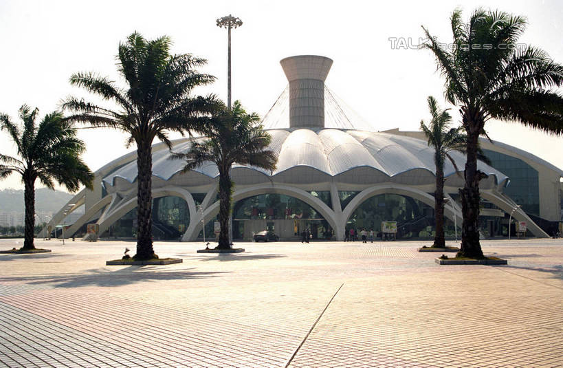 无人,横图,室外,白天,正面,度假,美景,植物,城市风光,城市,路灯,棕榈树,叶子,照明,中国,亚洲,阴影,光线,影子,景观,灯光,绿叶,娱乐,灯,树,树木,蓝色,绿色,蓝天,天空,阳光,自然,天,享受,休闲,嫩叶,景色,放松,生长,晴朗,成长,照亮,照明设备,东亚,棕榈叶,广东,珠海,广东省,万里无云,中华人民共和国,华南地区,粤,珠海市,叶,叶片,晴空,晴空万里,棕树,棕榈,彩图,shzwj1