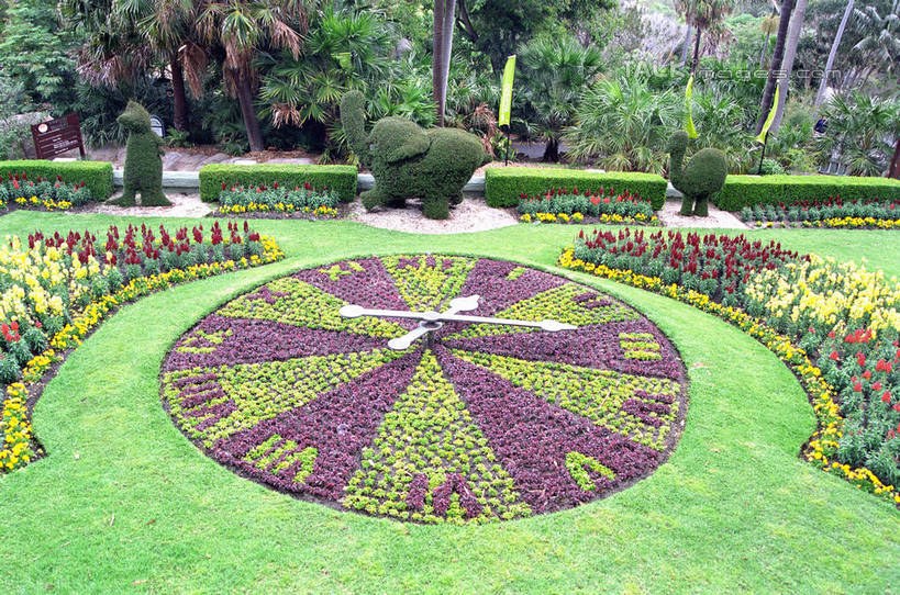 无人,横图,俯视,室外,白天,草地,草坪,花海,花圃,美景,植物,叶子,澳大利亚,阴影,盛开,光线,圆形,图形,影子,圆,景观,几何,花蕾,草,花,花瓣,花朵,花卉,鲜花,树,树木,绿色,阳光,自然,花丛,花束,花田,花苞,花蕊,景色,生长,成长,数学,自然风光,大洋洲,悉尼,澳洲,南方大陆,首府,澳大利亚联邦,雪梨,新州,新南威尔士,新南威尔士州,彩图,高角度拍摄,几何图形,平面图形,悉尼野生动物园,shzwj1