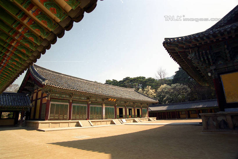 无人,寺庙,横图,室外,白天,仰视,旅游,度假,名胜古迹,植物,标志建筑,地标,建筑,庆州,韩国,亚洲,阴影,节日,遗迹,光线,影子,燃烧,古迹,文化,文物,娱乐,建设,古建筑,树,树木,蓝色,绿色,蓝天,天空,阳光,自然,香火,庙宇,天,祈祷,享受,休闲,健康,旅游胜地,放松,许愿,宗教,信仰,生长,晴朗,成长,纪念,祈求,古文明,东亚,佛国寺,万里无云,大韩民国,庆尚北道,庆州市,平安,晴空,晴空万里,彩图,低角度拍摄,庙,寺,道,shzwj1