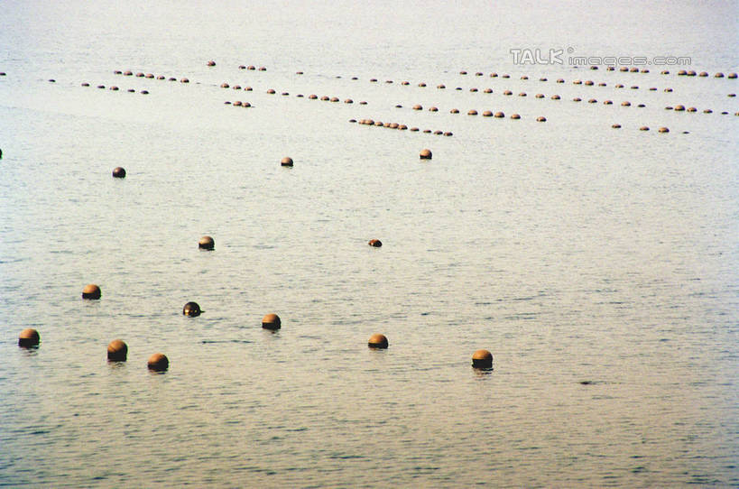 无人,横图,俯视,室外,白天,旅游,度假,海浪,海洋,美景,沙滩,中国,亚洲,阴影,光线,沙子,影子,海岸,景观,浪花,沙地,娱乐,山东,烟台,阳光,自然,海水,享受,休闲,景色,放松,自然风光,海景,东亚,山东省,长岛,中华人民共和国,华东地区,鲁,烟台市,大海,风浪,海,海水的波动,海滩,近岸浪,涌浪,彩图,高角度拍摄,沙门岛,庙岛群岛,长山列岛,长岛县,shzwj1