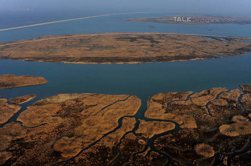 无人,横图,俯视,航拍,室外,白天,旅游,度假,海浪,海洋,美景,芦苇,叶子,上海,中国,亚洲,阴影,光线,影子,景观,浪花,粽叶,绿叶,娱乐,阳光,自然,海水,沙洲,享受,休闲,嫩叶,景色,放松,申,鸟瞰,自然风光,海景,青草沙,东亚,上海市,长兴岛,中华人民共和国,沪,华东地区,箬叶,芦苇叶,崇明县,叶,叶片,大海,风浪,海,海水的波动,近岸浪,涌浪,彩图,高角度拍摄,冲积沙洲,固定沙,shzxz1