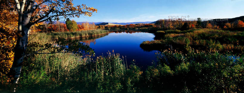 无人,横图,室外,白天,正面,旅游,度假,草地,草坪,湖,湖泊,美景,秋季,树林,水,植物,中国,亚洲,阴影,光线,影子,湖面,景观,水流,水面,云,云朵,云彩,娱乐,草,树,树木,蓝色,绿色,白云,蓝天,天空,阳光,自然,湖水,天,享受,休闲,景色,放松,生长,晴朗,成长,自然风光,东亚,新疆,白沙湖,阿勒泰地区,伊犁,中华人民共和国,新疆维吾尔自治区,西北地区,伊犁哈萨克自治州,晴空,秋,秋天,彩图,哈巴河,哈巴河县,新,shzxz1