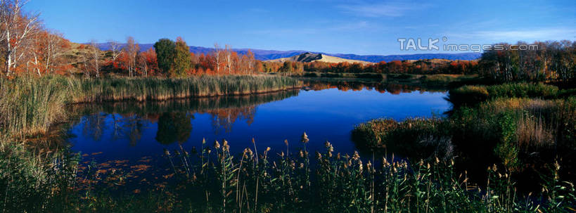 无人,横图,全景,室外,白天,正面,旅游,度假,草地,草坪,湖,湖泊,花海,花圃,美景,树林,水,植物,叶子,中国,亚洲,阴影,盛开,光线,影子,湖面,景观,水流,水面,云,云朵,花蕾,云彩,娱乐,草,花,花瓣,花朵,花卉,鲜花,树,树木,蓝色,绿色,白云,蓝天,天空,阳光,自然,湖水,花丛,花束,花田,天,花苞,花蕊,享受,休闲,景色,放松,生长,晴朗,成长,自然风光,东亚,新疆,白沙湖,阿勒泰地区,伊犁,中华人民共和国,新疆维吾尔自治区,西北地区,伊犁哈萨克自治州,晴空,彩图,哈巴河,哈巴河县,新,shzxz1