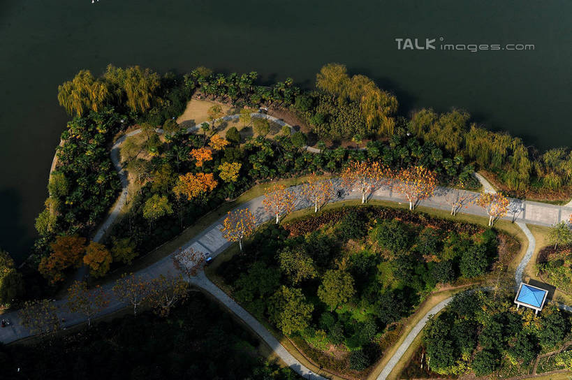 无人,公园,横图,俯视,航拍,室外,白天,旅游,度假,草地,草坪,河流,美景,水,植物,道路,路,公路,上海,中国,亚洲,河水,景观,水流,交通,娱乐,浦东,草,树,树木,绿色,自然,享受,休闲,景色,放松,世纪公园,生长,成长,申,鸟瞰,自然风光,浦东新区,东亚,上海市,中华人民共和国,沪,华东地区,马路,彩图,高角度拍摄,浦东中央公园,shzxz1