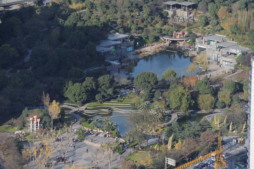 无人,公园,横图,俯视,航拍,室外,白天,旅游,度假,湖,湖泊,美景,森林,树林,水,植物,上海,中国,亚洲,阴影,光线,影子,湖面,景观,水流,水面,娱乐,浦东,树,树木,绿色,阳光,自然,湖水,享受,休闲,景色,放松,生长,成长,申,鸟瞰,自然风光,浦东新区,东亚,森林公园,上海滨江森林公园,上海市,中华人民共和国,沪,华东地区,彩图,高角度拍摄,滨江森林公园,高桥镇,shzxz1